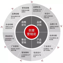 揭開流量的面紗 探索互聯網營銷的獨特魅力與內核